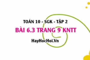 Bài 6.3 trang 9 Toán 10 tập 2 Kết nối tri thức